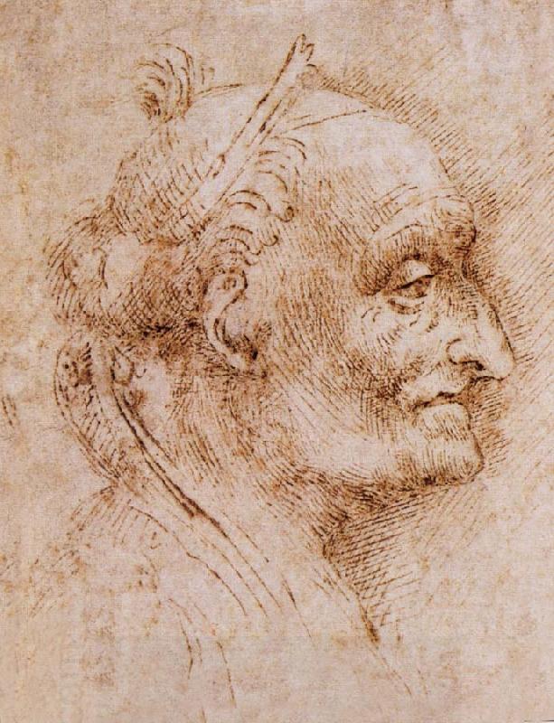 LEONARDO da Vinci Aurelio Luini attributed, profile of an old man oil painting picture